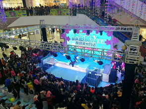 吉林遼源市羊駝海獅馬戲團租賃與表演合作指南