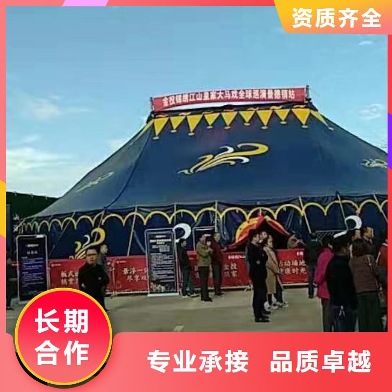 創意活動新風尚 馬戲團表演、羊駝出租與海獅互動好評如潮，冰雕展出租賃點亮城市魅力
